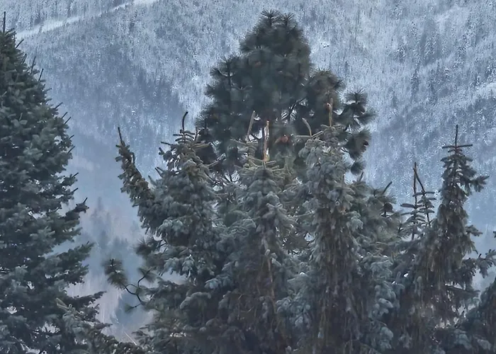 Fiona1 Centrum700m Parking Bezplatny Monitorowany Salon Tv Sypialnia Tv Kuchnia Lazienka Rekuperacja شقة كارباش